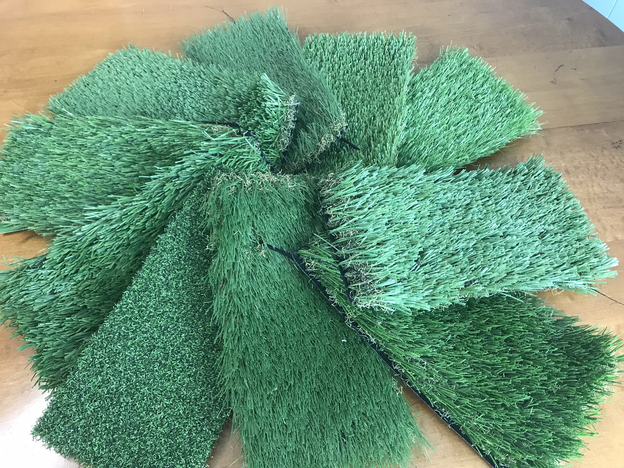 Grass Samples