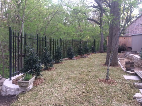 Wrought Iron Fence